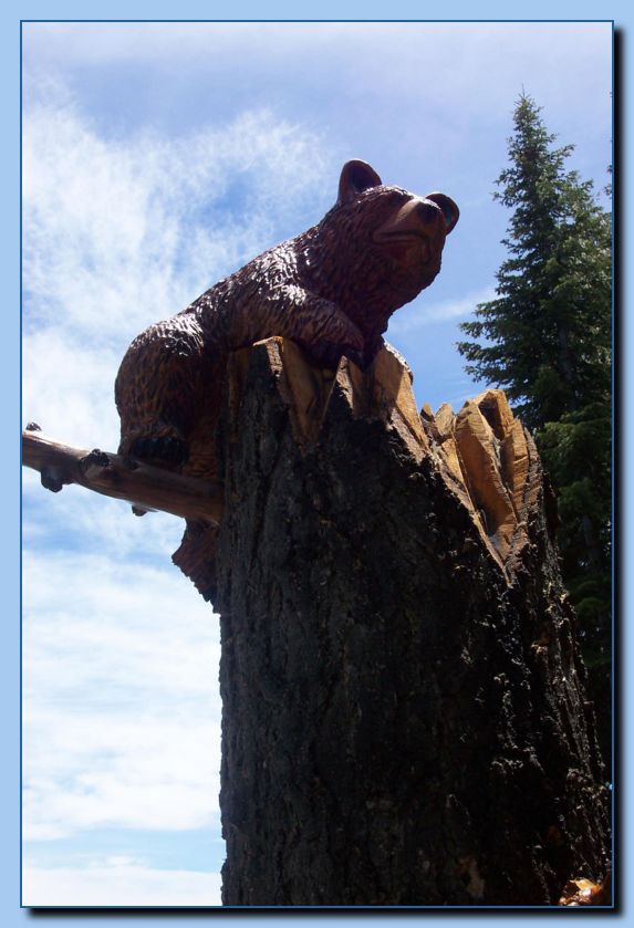 2-39 bears attached to tree-archive-0002